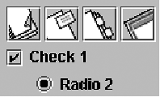 JCheckBox i JRadioButton/6